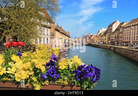 Alsatian style houses on the banks of the Ill in Little France in Strasbourg Stock Photo