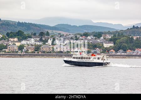 The Caledonian MacBrayne ferry Ali Cat on the Dunoon to Gourock route in the Firth Of Clyde, Argyll & Bute, Scotland UK Stock Photo
