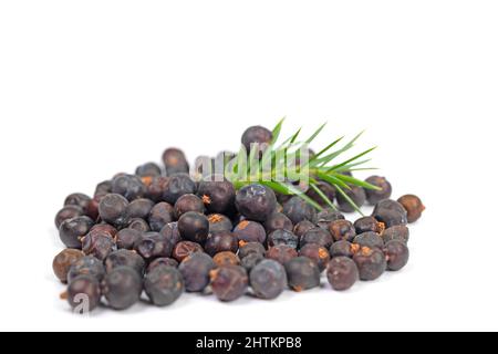 Dried juniper berries against white background Stock Photo