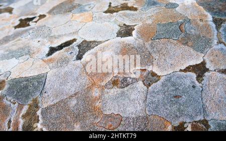 Multi coloured lichen patterns on weathered rock Stock Photo
