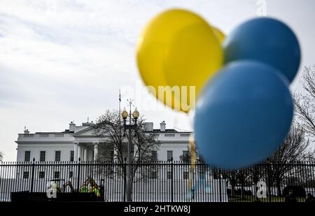 Washington, DC, USA. 01st Mar, 2022. Blue and yellow balloons are tied in front of the White House. Credit: Britta Pedersen/dpa-Zentralbild/dpa/Alamy Live News Stock Photo
