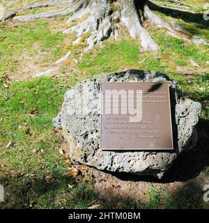 Memorial plaque at Green Hills Park, Millbrae, California, USA, in honor of Rohan Dargad who was killed in a hit and run vehicular accident in 2016. Stock Photo