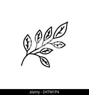 Twig with leaves. Spring or summer element. Ecology concept. Black and white vector isolated illustration hand drawn. Icon doodle Stock Vector