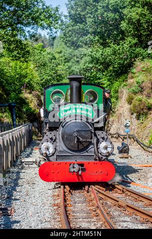 Hunslet 2-4-0STT 'Linda' and 'Blanche' arrive at Tan-Y-Bwlch during the Hunslet 125 on the Ffestiniog Railway Stock Photo