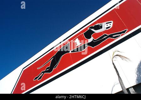 Dog Races in Florida Stock Photo