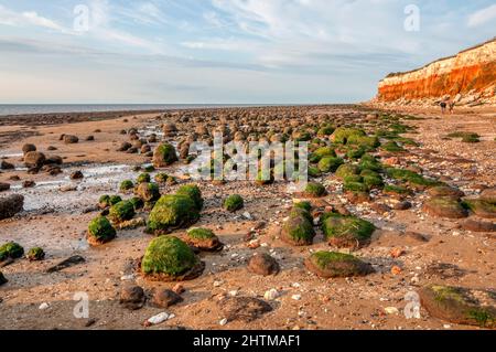 Wave cut platform in front of the red & white striped cliffs of Hunstanton at low tide. Stock Photo