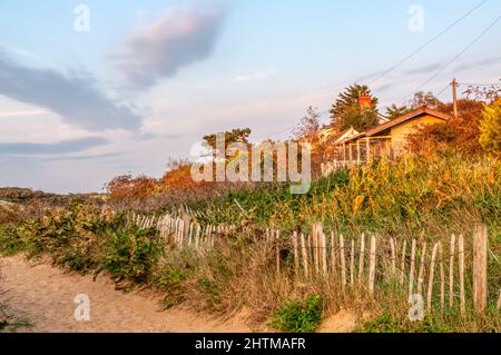 Evening light on holiday cabins in sand dunes at Old Hunstanton on the North Norfolk coast. Stock Photo