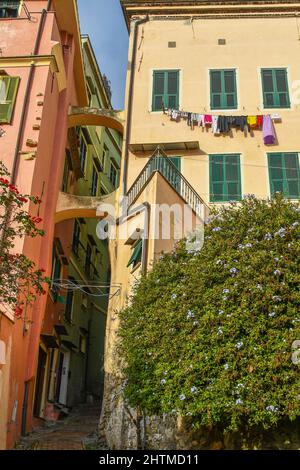 Typical colored houses of the medieval district called 'La Pigna' in the old town of Sanremo, Imperia, Liguria, Italy Stock Photo