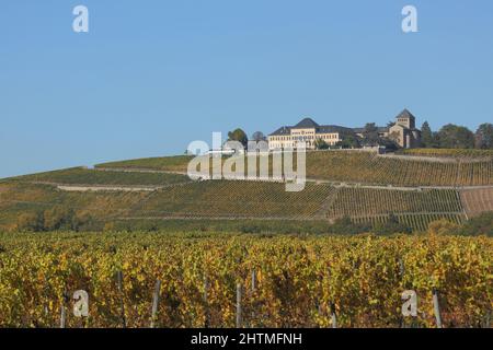 Johannisberg Castle and vineyards in autumn, Rheingau, Hesse, Germany Stock Photo