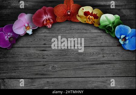 Orchid flowers of different colors arranged on a wooden background. Stock Photo