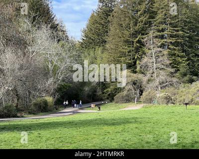 Canyon Meadows staging area at Redwoods Regional Park, Oakland 