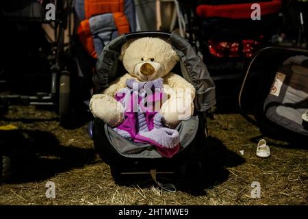 A donated toy bear rests in a temporary camp for refugees as thousands refugees from Ukraine enter Poland and need immediate help in Przemysl, Poland on March 1, 2022. As the Russian Federation army crossed Ukrainian borders the conflict between Ukraine and Russian is expected to force up to 5 million Ukrainians to flee. Many of the refugees will seek asylum in Poland. (Photo by Dominika Zarzycka/Sipa USA) Credit: Sipa USA/Alamy Live News Stock Photo