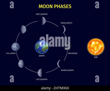 Moon phases realistic infographic set with rising and new moon symbols vector illustration Stock Vector
