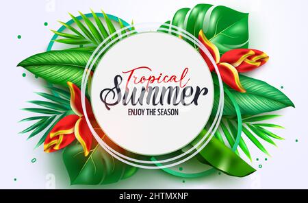 Summer vector template design. Tropical summer text in white circle space with plant leaves foliage of monstera, heliconia and palm for holiday. Stock Vector