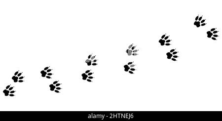 Animal pawprint trail. Sketch footprints of a rabbit, bunny, cat or dog. Vector illustration isolated in white background Stock Vector