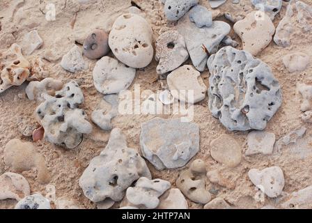 Stones with holes on a beach in Israel, mediterrean sea costline, rocks background, erosion geology Stock Photo