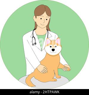 Veterinarian woman examining a Shiba Inu with a white background Stock Vector