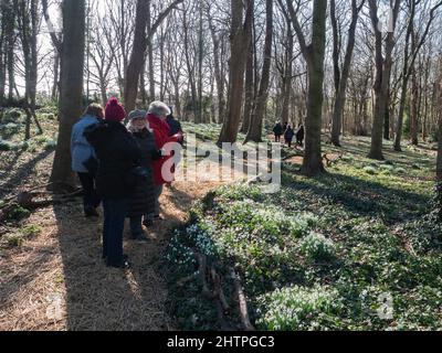 Visitors on the annual Snowdrop Walk at the House of God a home for elderly people established in Greatham Hartlepool in 1273 Stock Photo