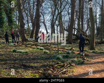 Visitors on the annual Snowdrop Walk at the House of God a home for elderly people established in Greatham Hartlepool in 1273 Stock Photo