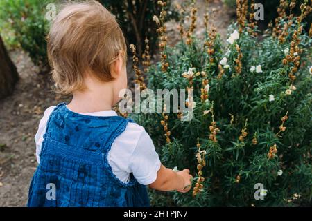 Little girl walks in the garden among beautiful evergreen southern plants Stock Photo