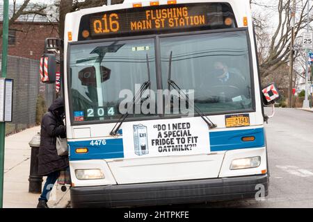 DO I NEED A SPECIAL FRIDGE? A quirky funny irreverent Oatly oat milk ad on the front of a New York City bus in Flushing, Queens New York City. Stock Photo