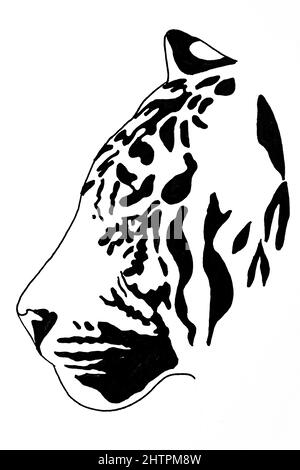 Handdrawn  illustration of tiger, black ink pen Stock Photo
