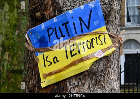 Westminster, London, UK. 2nd March 2022, Anti Vladimir Putin poster on a tree near Downing Street. As protests against the Russian Invasion of Ukraine continue. Credit: michael melia/Alamy Live News Stock Photo