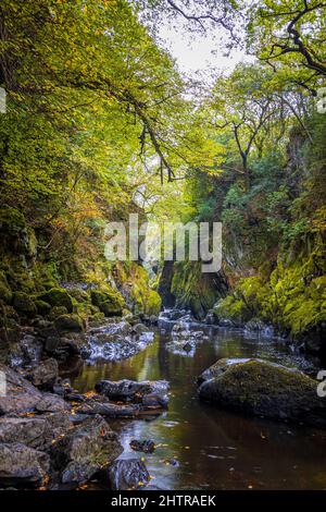 The Fairy Glen and River Conwy, near Betws y coed, Snowdonia National Park, North Wales, UK Stock Photo
