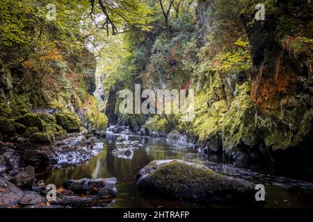 The Fairy Glen and River Conwy, near Betws y coed, Snowdonia National Park, North Wales, UK Stock Photo