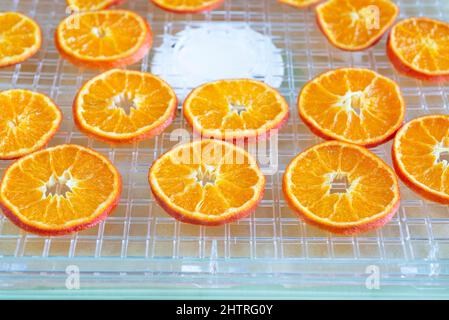 Candied orange slices dried in a dehydrator. Stock Photo
