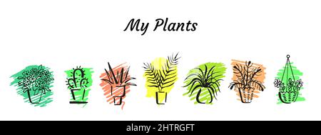 Outlines of various potted room plants on colour spots backgrounds. Sketchy home decorative plants. Collection of doodle design elements Stock Vector
