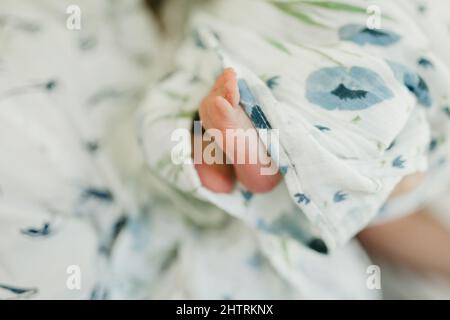 Newborn baby feet sticking out of muslin blanket with blue poppies Stock Photo