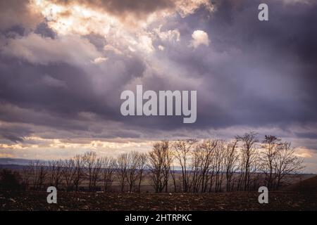Wind break tree line under a dramatic colorful sky with sun beams shining through the clouds, postcard calender idea concept