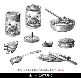 Peanut butter collection hand draw vintage engraving illustration Stock Vector