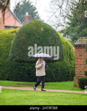 Doddington Hall, Lincoln , Lincolnshire,UK. 2nd Mar 2022.  UK Weather. A wet day at Doddington Hall spring bulb pageant. The spring bulb pageant was started in the 1950s. It is a Elizabethan manor house with Flemish tapestries and walled gardens plus a restaurant, cafe and shop. Credit: Windmill Images/Alamy Live News Stock Photo