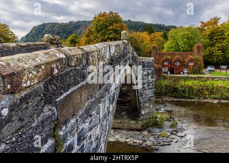 Llanrwst ancient stone bridge and tea rooms and Conwy river Snowdonia ...