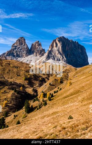 Colorful larches and pine trees on the pastures below the summits and rock faces of Langkofel group in autumn. Stock Photo