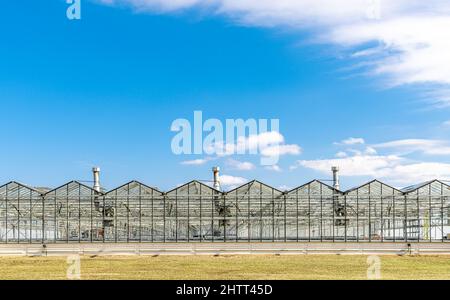 large complex consisting of green houses Stock Photo