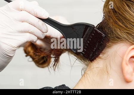 Young female hairdressed hands dyeing long hair to beautiful girl. Barber hair dye is applied with a brush Stock Photo