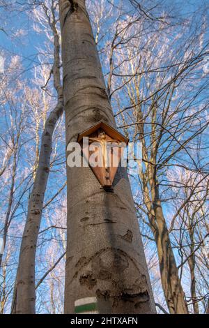 Small wooden crucified jesus on the beech tree in the forest. Wooden cross with jesus. Stock Photo