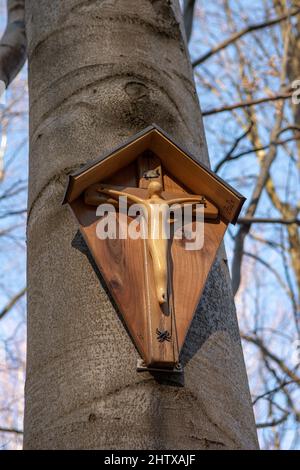 Small wooden crucified jesus on the beech tree in the forest. Wooden cross with jesus. Stock Photo