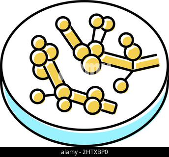 candida fungi albicans color icon vector illustration Stock Vector