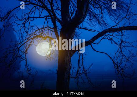 New Moon rising on a foggy cold night Stock Photo