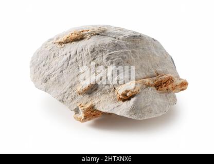 Stratified stones placed against a white background. Stones for aquarium layout. Stock Photo