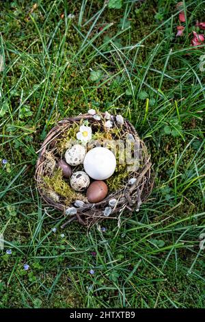 Easter, Easter nest in the grass Stock Photo