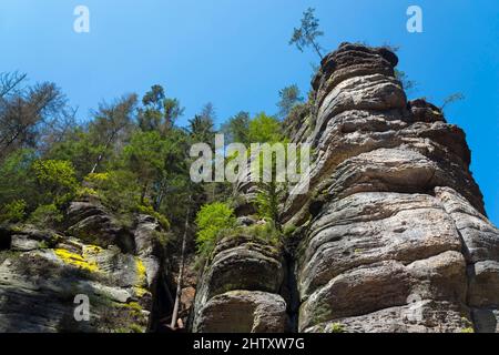 Rock faces in the Kamenice Valley, Edmundsklamm, Kamenice River, Kamnitz, Hrensko, Herrnskretschen, Okres Decin, Ustecky kraj, Bohemian Stock Photo