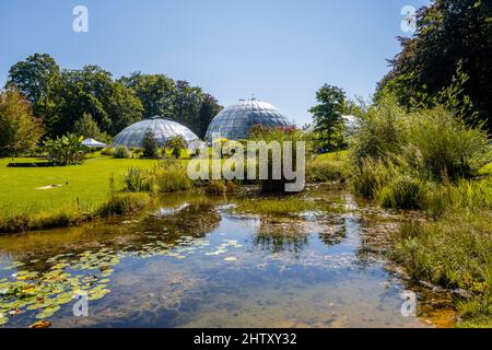 Pond in the Botanical Garden, domes of the greenhouses in the back, Zurich, Switzerland Stock Photo