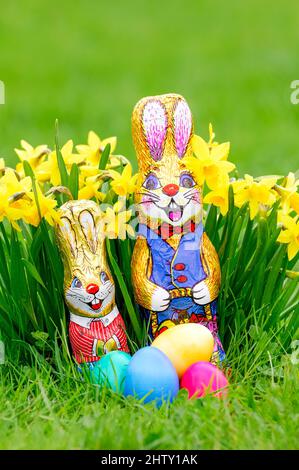 Easter bunnies, Easter, chocolate bunnies, spring, spring meadow, wild daffodils (Narcissus pseudonarcissus), Easter eggs Stock Photo