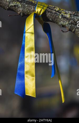 Ribbons on a branch of a tree with colors of Ukraine during a peaceful demonstration against war, Putin and Russia, vertical Stock Photo