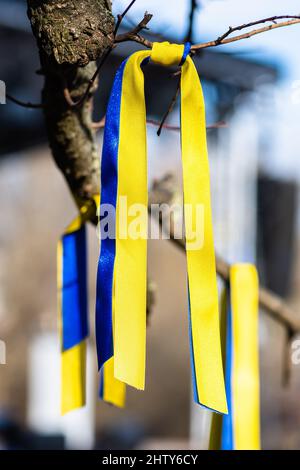 Ribbons on a branch of a tree with colors of Ukraine during a peaceful demonstration against war, Putin and Russia, vertical Stock Photo